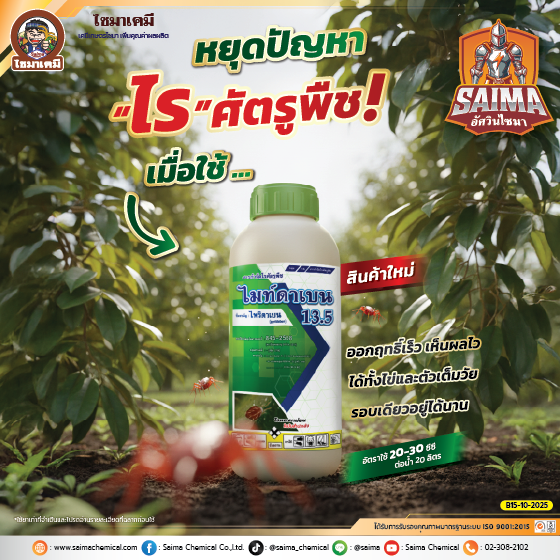 Artboard 1AW ไมท์ดาเบน SI ปี68 Web